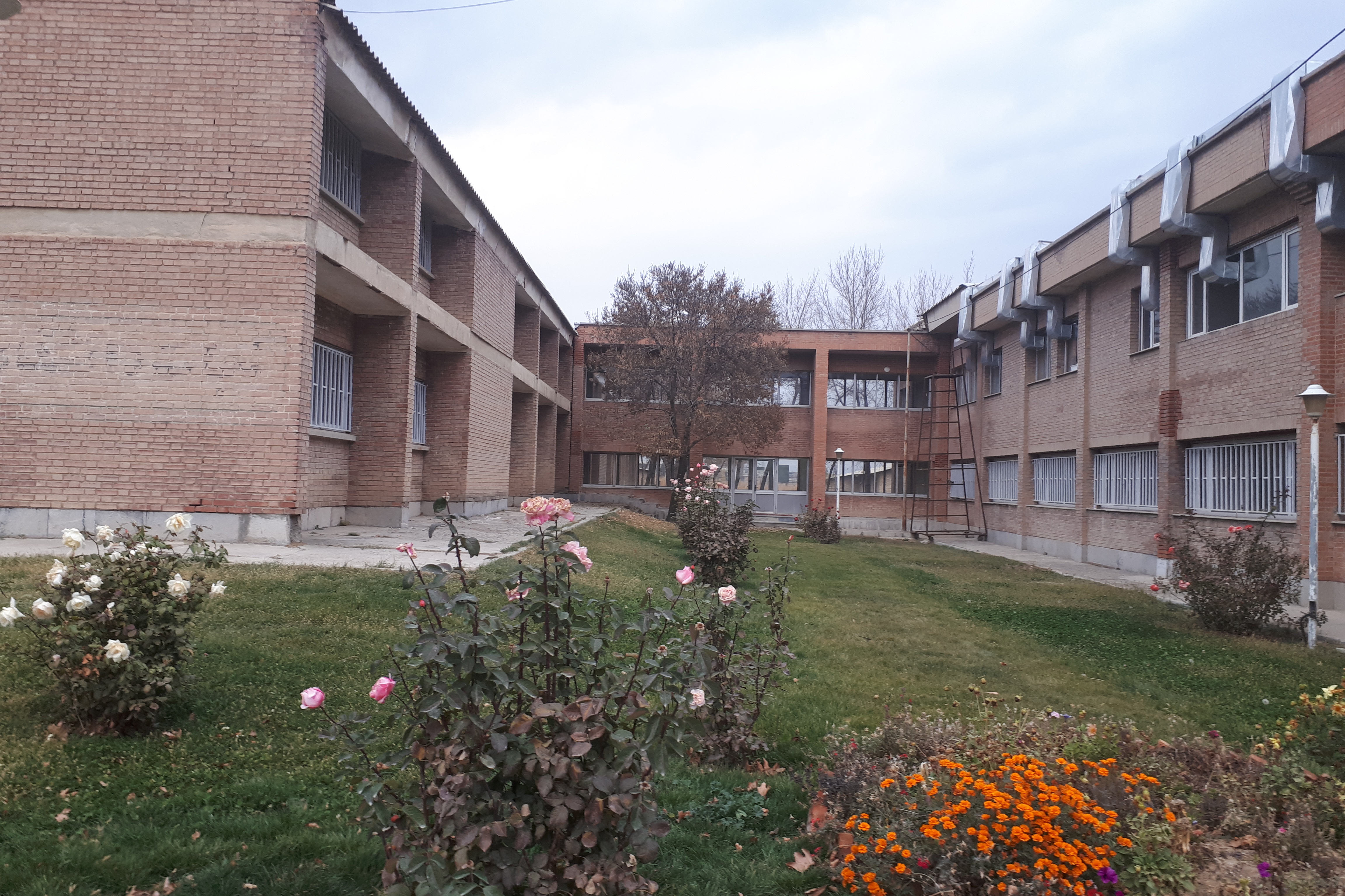 دانشکده هنر 