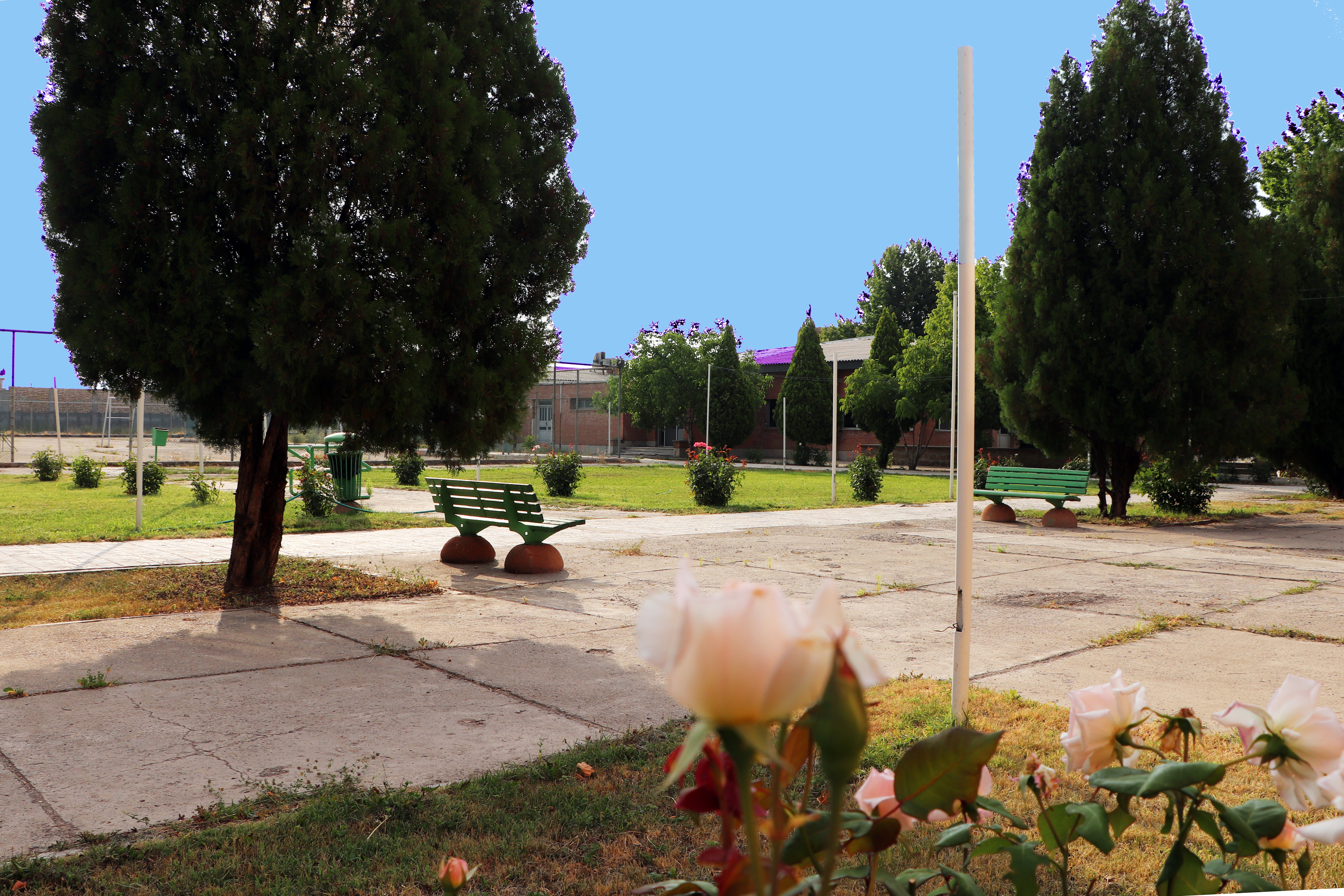 عکس های دانشکده