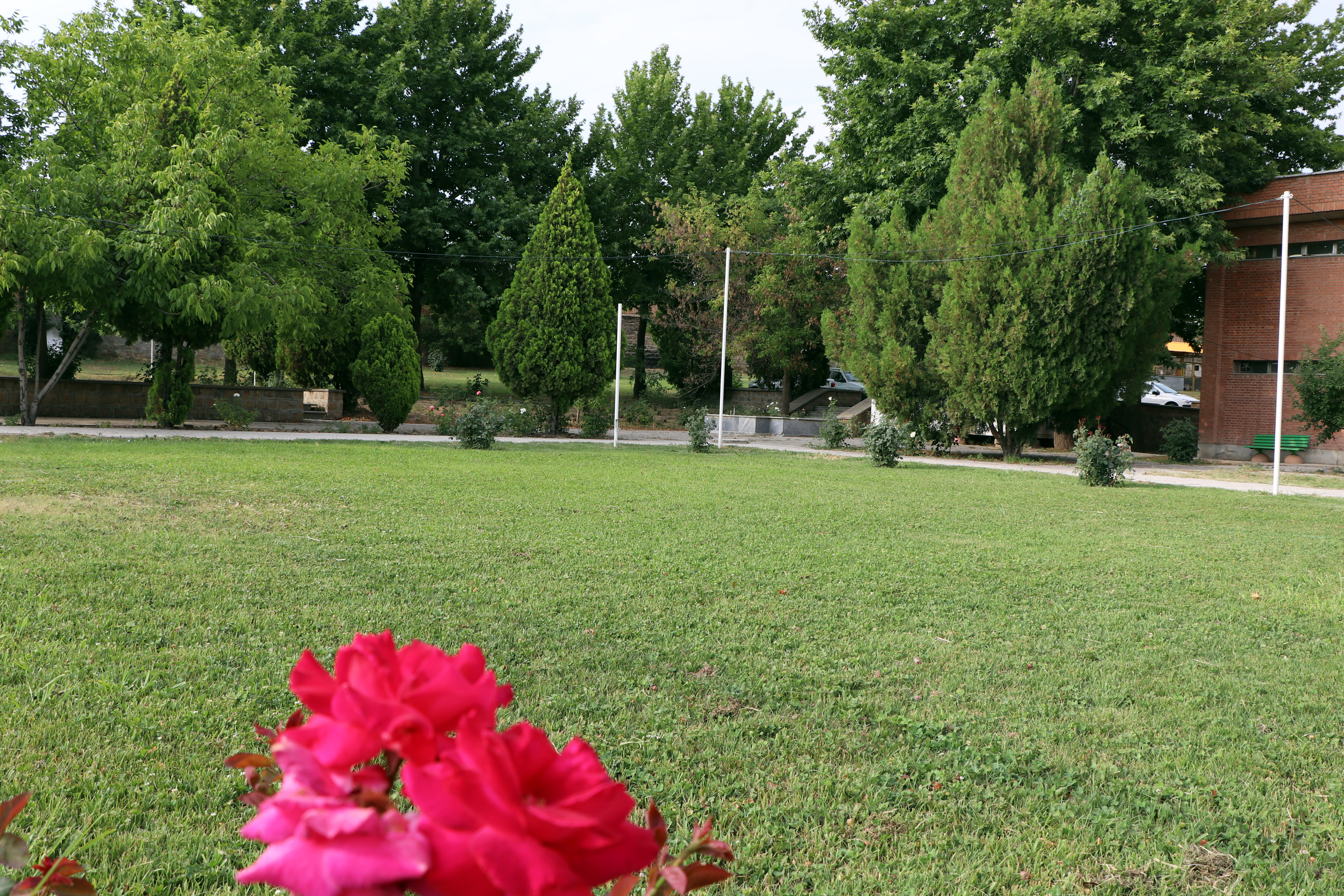 عکس های دانشکده