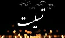 پیام تسلیت رییس دانشکده به مناسبت شهادت سردار سپهبد حاج قاسم سلیمانی، سردار ابومهدی المهندس و همراهان