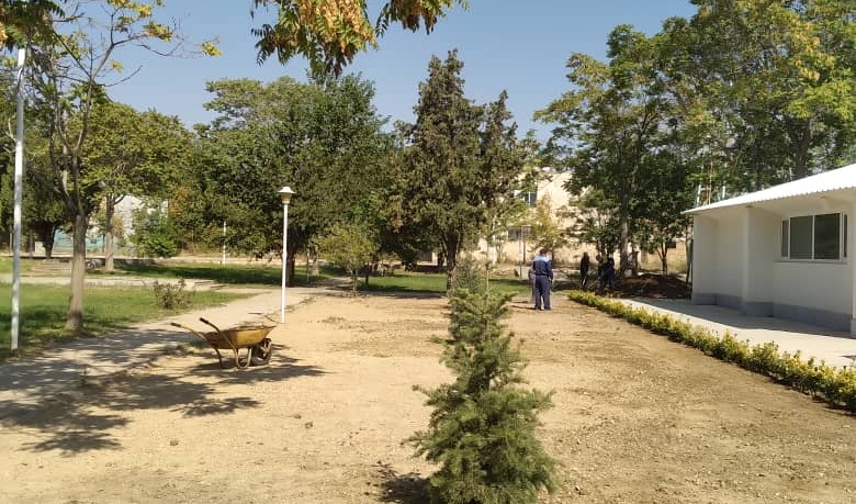 گزارش تصویری از افدامات گل کاری در دانشکده معماری، شهرسازی و هنر